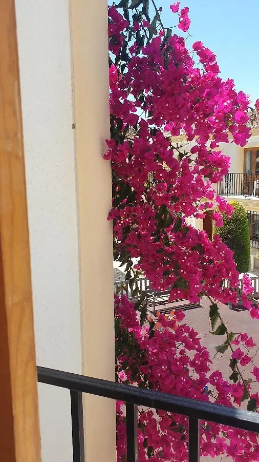Mi Costa Vera-Playa 200M, Dos Balcones Hermosa Vista! Apartment Vera